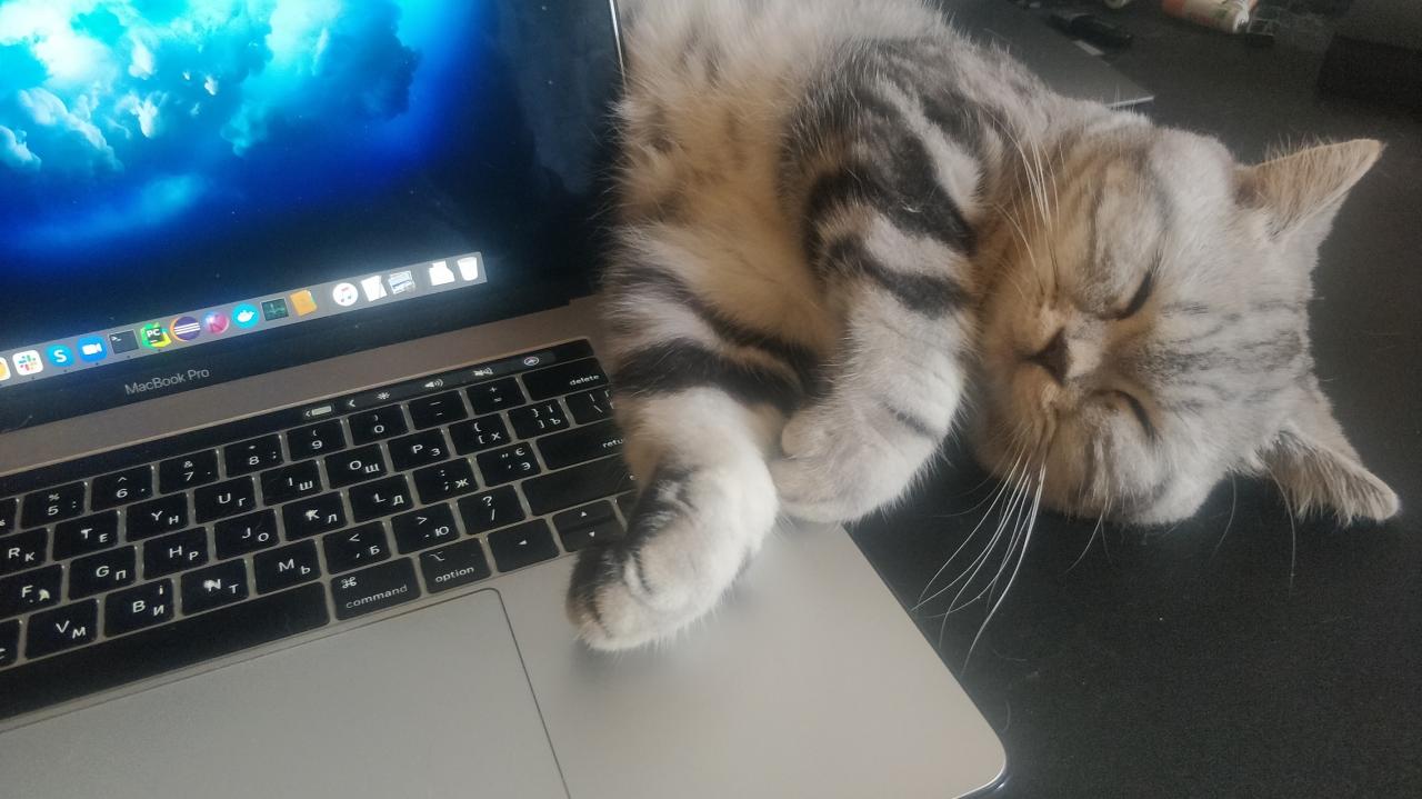 Парное кодирование =^_^=