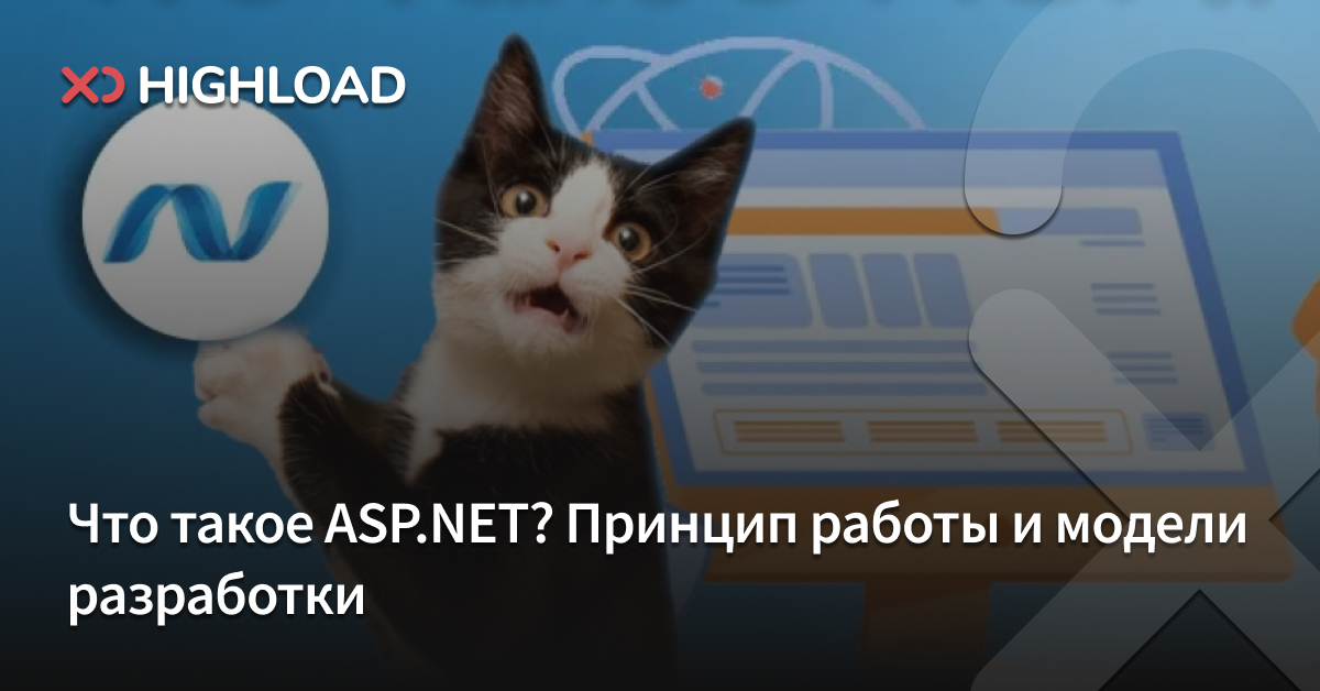 Что такое ASP.NET? Принцип работы и модели разработки