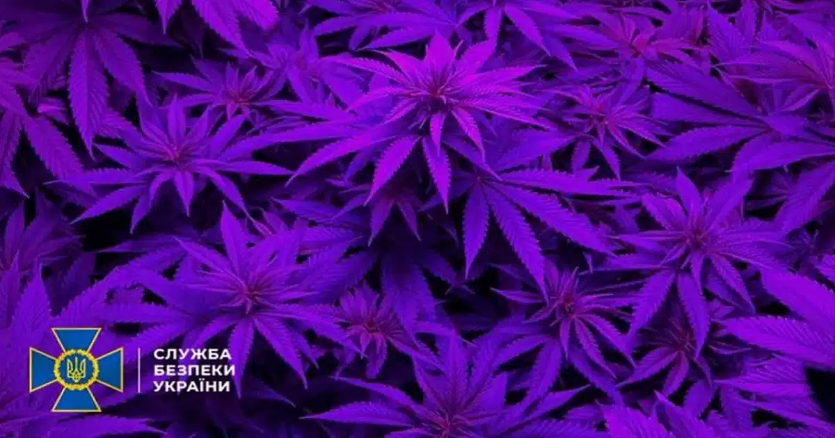 Кибердепартамент СБУ задержал в Киеве хакерскую группировку