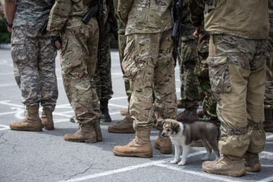 Після 28 травня частина українців можуть втратити бронь від мобілізації