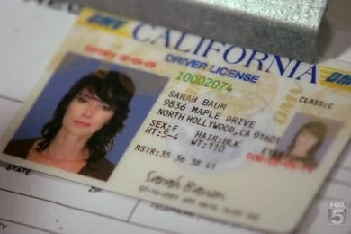 27-річний українець створив глобальну мережу генерації фейкових документів: як працювала схема